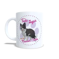 Taza Border Collie