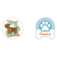 Taza Border Terrier